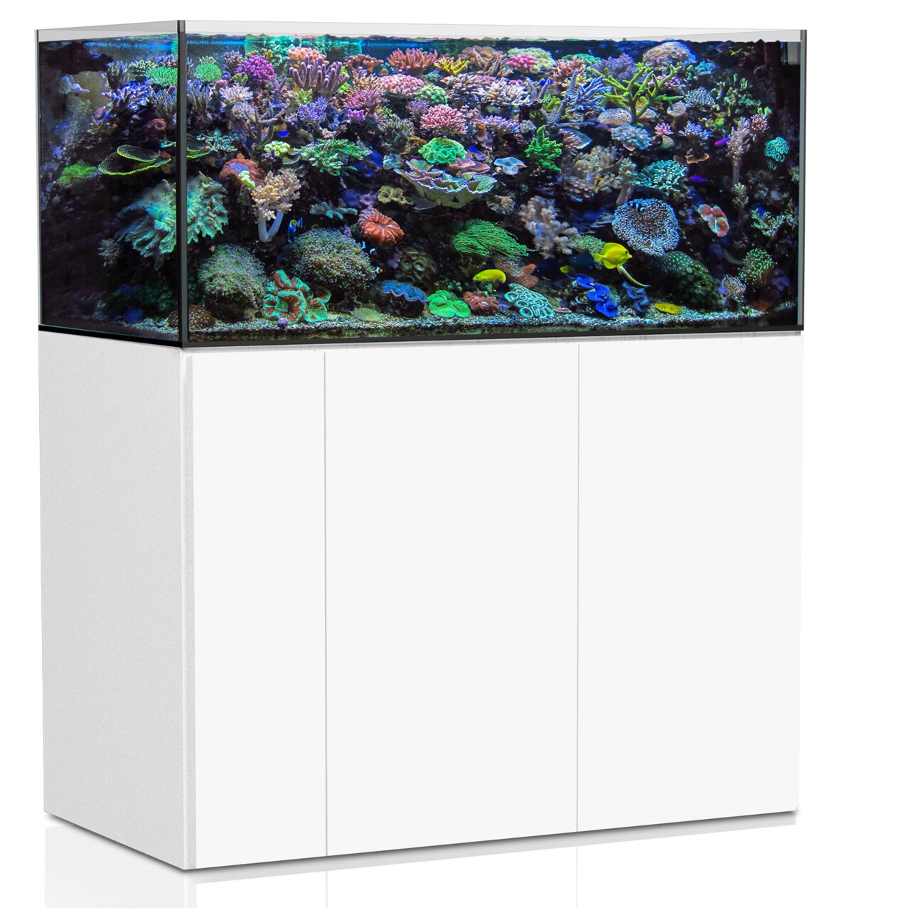 Aqua Medic Armatus 400 Meerwasseraquarium, weißer Unterschrank, für erfahrene Aquarianer, mit Korallen & tropischen Fischen.