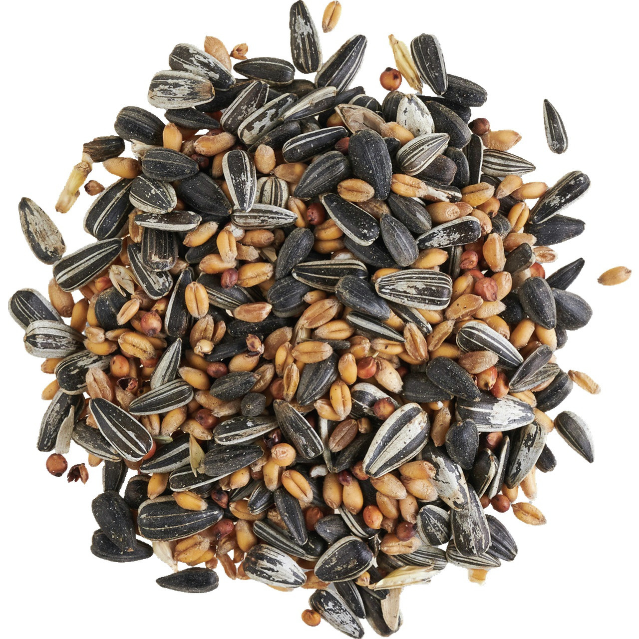 Lottis Piepmätze Vogelfutter f. Wildvögel, m. Sonnenblumenkerne, Getreide & Samen, ausgewogene Ernährung, ideal f. Garten/Balkon.