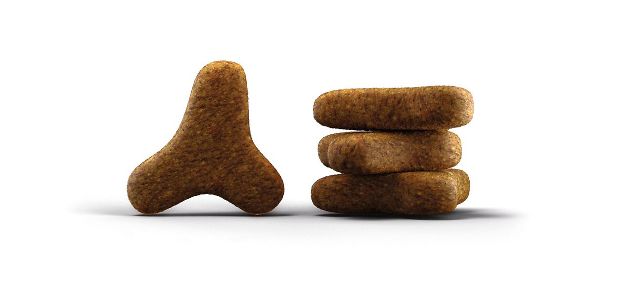 Das Bild zeigt Josera Trockenfutter für Hunde in einer einzigartigen dreieckigen und rechteckigen Krokettenform. Die Zielgruppe sind ausgewachsene Hunde. Die Geschmacksrichtung ist Geflügel. Die Kroketten sind speziell geformt, um die Zahnpflege zu unters