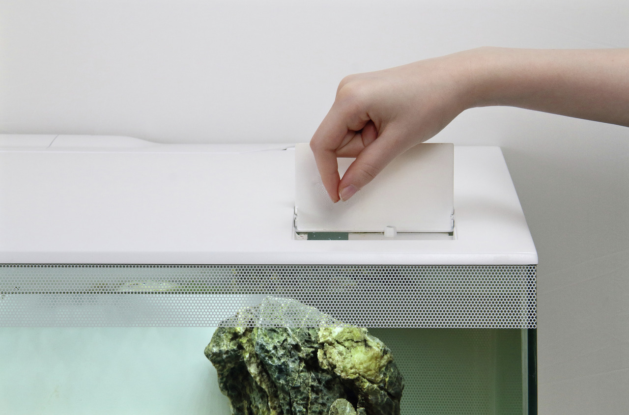 Fluval Aquarium, weiß, minimalistisch, funktional, ideal f. Aquaristik-Fans, mit Futterklappe, dekorativem Stein, modernes Design.