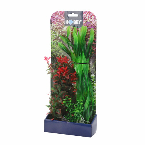 Künstliche Aquarienpflanzen von HOBBY, ideal für Aquarienliebhaber. Enthält eine Kombination aus grünen und roten Pflanzen, die eine natürliche Unterwasserlandschaft nachbilden. Geeignet für Süß- und Meerwasseraquarien. Verpackt in einer blauen Basis, lei