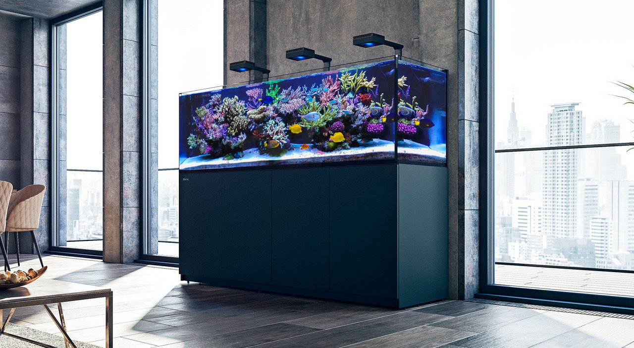 Red Sea REEFER S-1000 G2+ DLX-Black (3XRL170&arms)