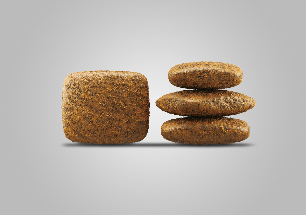 Josera Hundetrockenfutter, leicht verdaulich, ausgewogene Ernährung, für Hunde, braune Kroketten (quadratisch/rund).