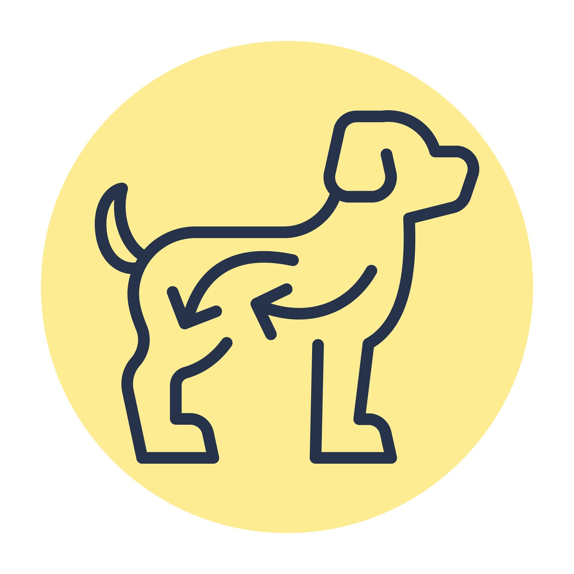 Jos Icons Easydigestible Yellow Medimaxi