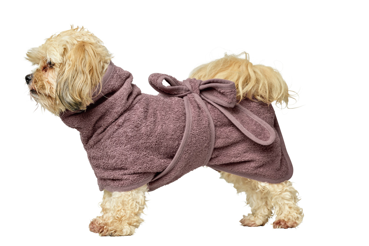 Das Bild zeigt einen kleinen Hund, der einen fliederfarbenen Bademantel der Marke HUNTER trägt. Der Bademantel ist speziell für Hunde entwickelt und eignet sich ideal für die Fellpflege nach dem Baden. Er ist mit einem praktischen Bindegürtel ausgestattet