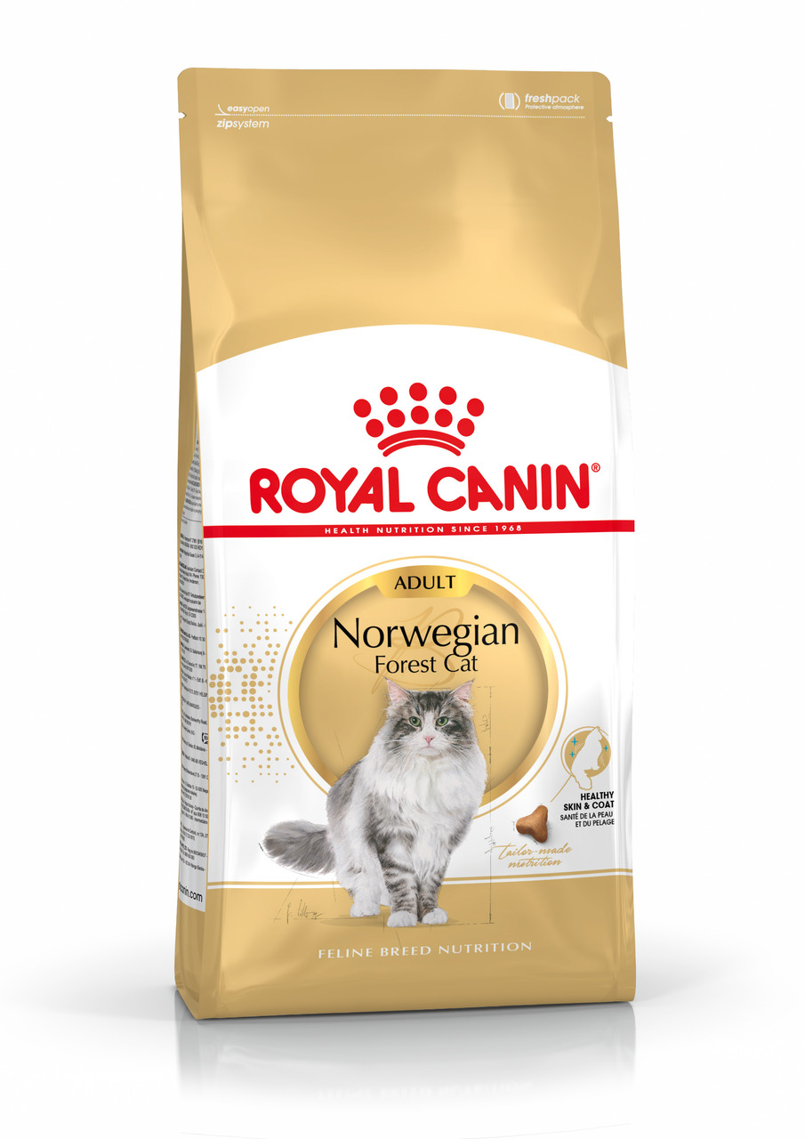 ROYAL CANIN Norwegian Forest Cat Adult, 2 kg, für erwachsene Norwegische Waldkatzen, unterstützt Haut & Fell, Zielgruppe: Katzenhalter.