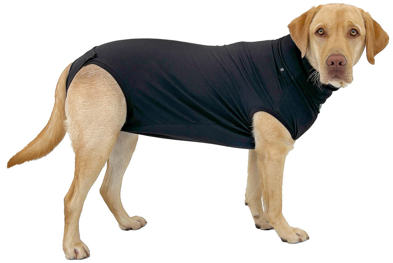 Vetlando Post OP Body XL