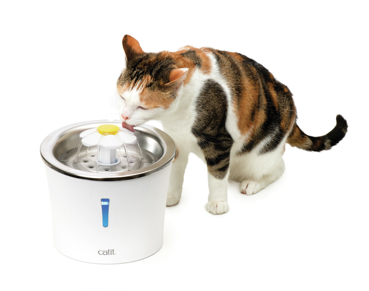 Catit Blumentrinkbrunnen, 3L, für Katzen, weiß mit Edelstahl & gelber Blume, fördert Flüssigkeitsaufnahme.