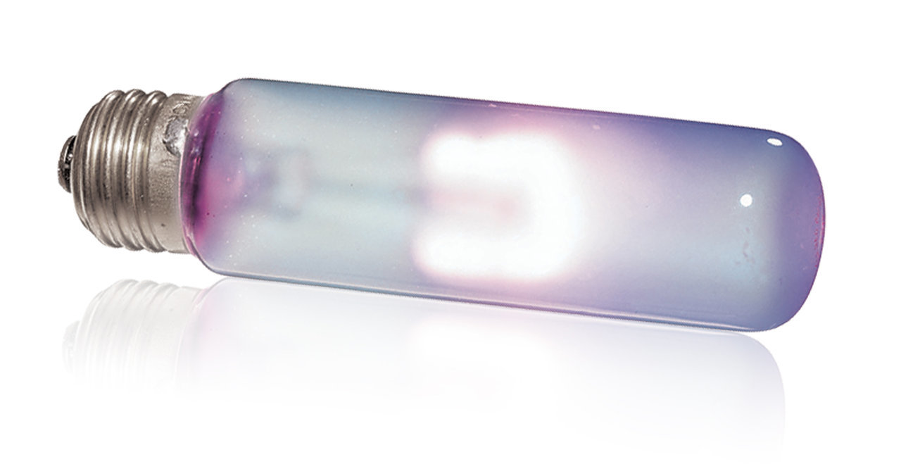 Exo Terra Daytime Heat Lamp 25 Watt Terrarienbeleuchtung