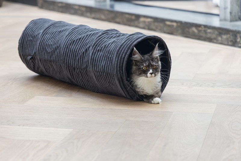 Katzentunnel „Designed by Lotte“, dunkelgrau, für Katzen, weicher gerippter Stoff, ideal zum Spielen-Verstecken, Maine-Coon geeignet.