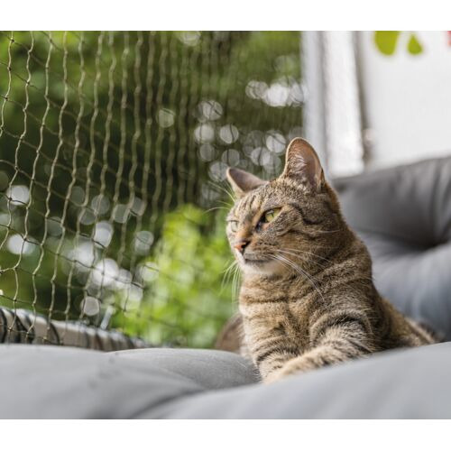 Das Bild zeigt eine getigerte Katze, die entspannt auf einem gepolsterten Balkonmöbel liegt. Im Hintergrund ist ein Katzenschutznetz von TRIXIE zu sehen, das für die Sicherheit von Katzen auf Balkonen sorgt. Das Netz ist transparent und schützt vor Stürze