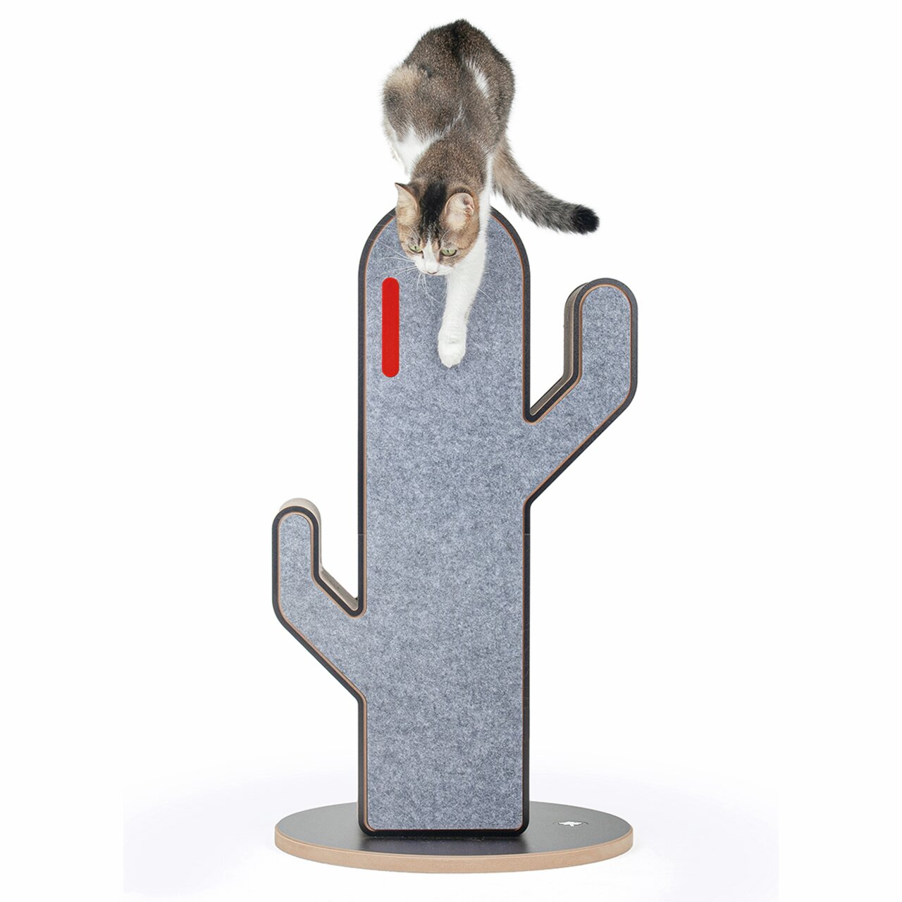 Kratzbaum "CanadianCat Cactus" für Katzen, Kaktusform, robustes Filzmaterial, ideal zum Krallenwetzen & Klettern, Katze zeigt Stabilität.