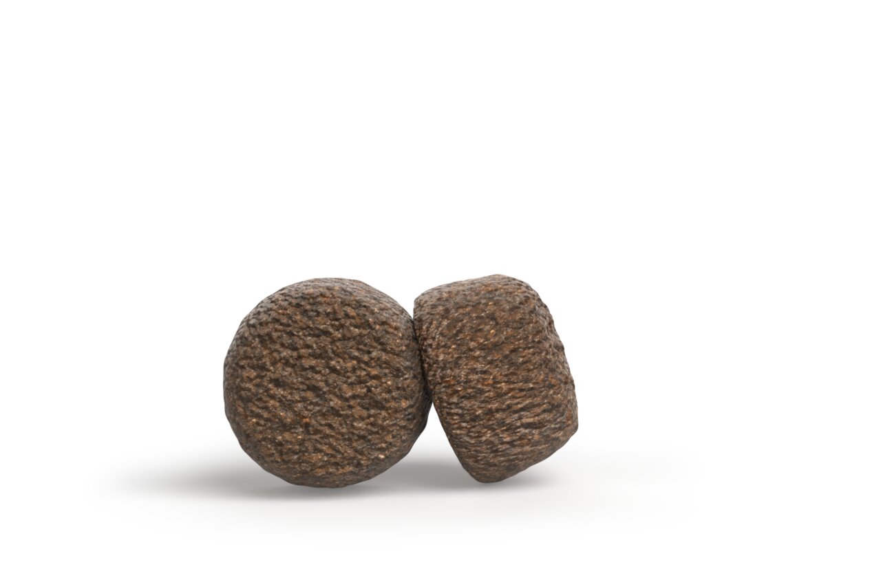 Zwei braune Hundetrockenfutter-Kroketten von Green Petfood, geeignet für Hunde, auf hellem Untergrund, ohne Angaben zur Menge.