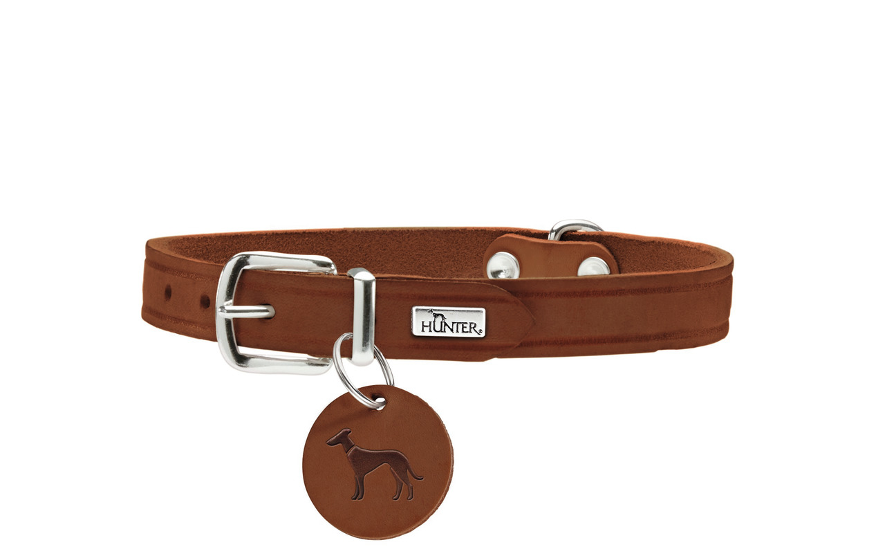 HUNTER Hundehalsband, Leder, Silber-Schnalle, Anhänger mit Hundemotiv, für alle Hundegrößen, stilvoll & robust, EAN: 4016739660589.