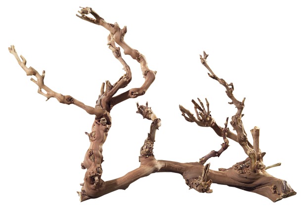 HOBBY Mangrovenwurzel-Ast, 40-50 cm, für Reptilien, Fische & Amphibien, nat. Optik, robust, ideal für Aquarien & Terrarien.