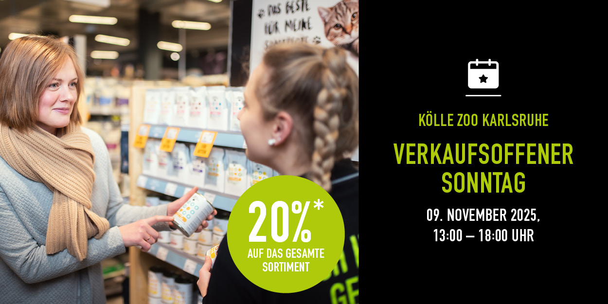 Zwei Frauen sprechen vor Regalen, Text zu verkaufsoffenem Sonntag und Rabatt.