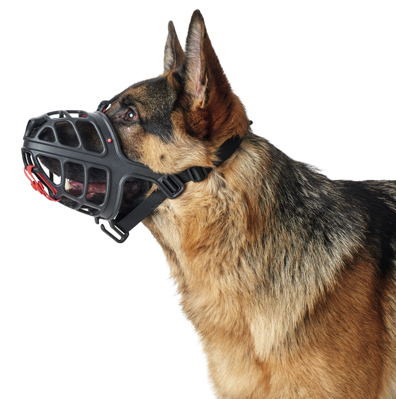 Abgebildet ist ein deutscher Schäferhund, der einen ergonomischen Maulkorb der Marke HUNTER trägt. Der Maulkorb ist aus robustem Kunststoff gefertigt und verfügt über rote Verschlüsse sowie verstellbare Riemen für eine optimale Passform. Geeignet für groß