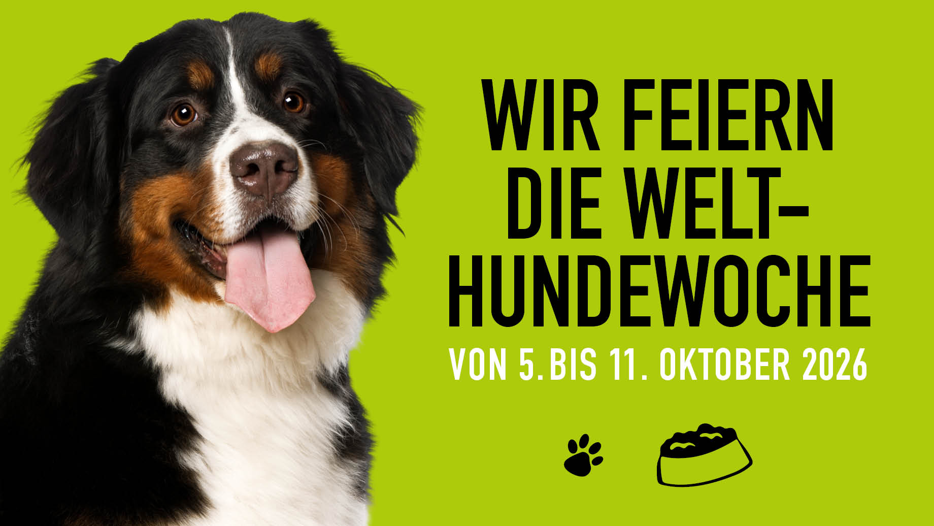 2026 Welthundewoche Blog Banner1 920x518px