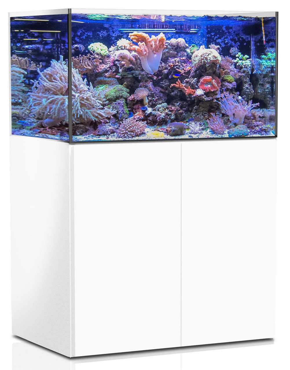 AQUA MEDIC Armatus 375 XD Meerwasser-Aquarium mit Unterschrankfiltersystem weiß