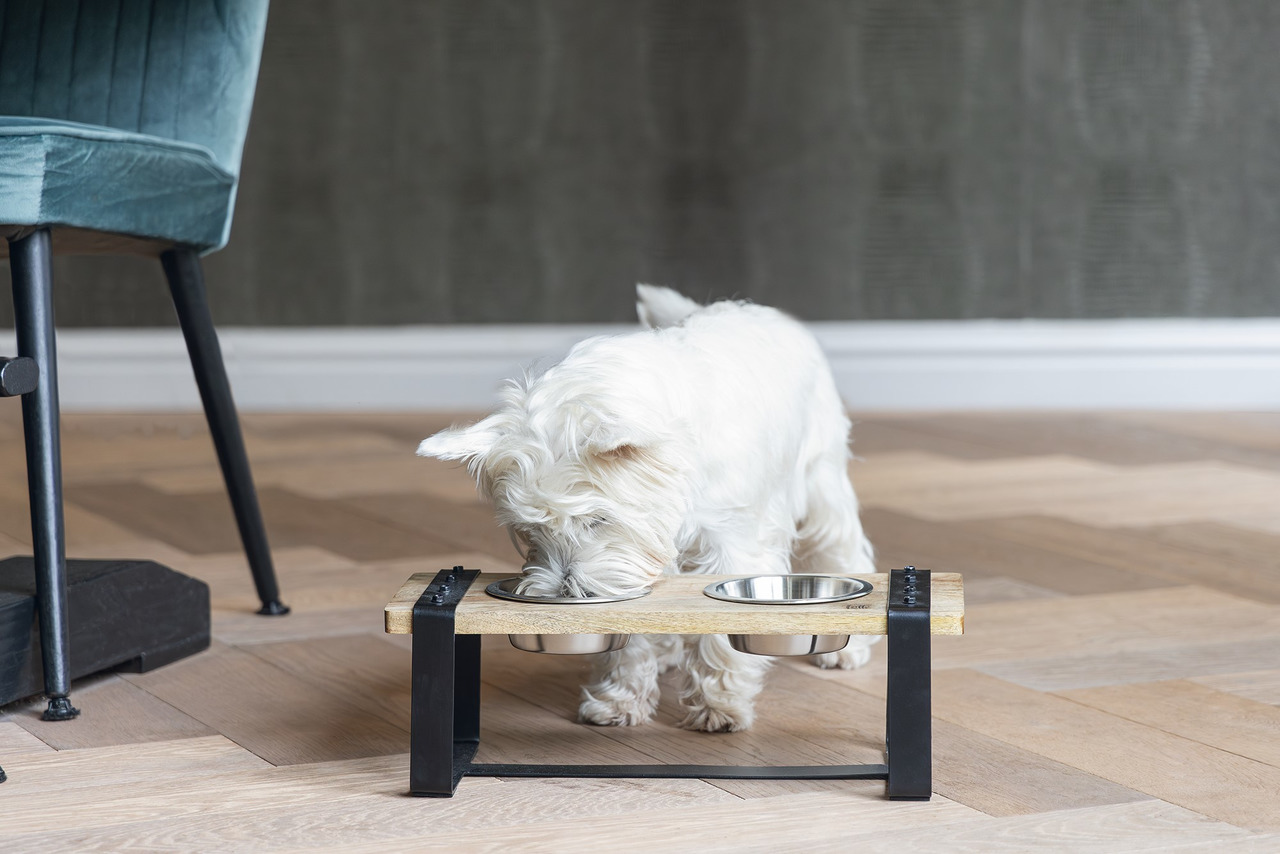 Designed by Lotte Holz Hundenapf Set Karinto 2 x 350 ml