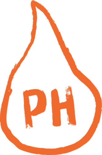 Harnph Pate Huhnspinat Harnph Pate Huhnspinat