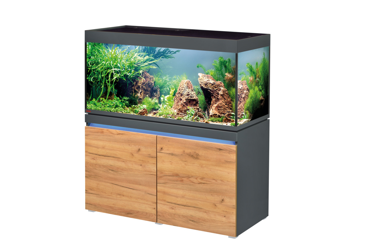EHEIM incpiria 300: Aquarium (300 L) mit Holzoptik-Unterschrank, ideal für Süßwasserfische & Pflanzen, elegantes Design für Wohnräume.