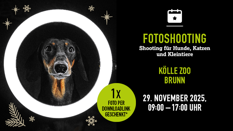 Kw47 2211 Shooting Br Mobile