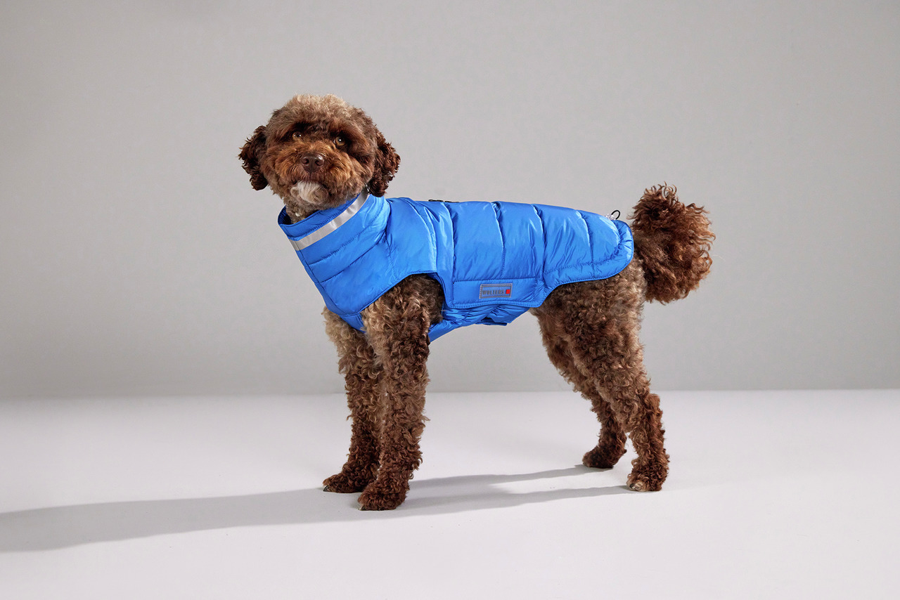 Wolters Steppjacke Cosy 60 cm royalblau