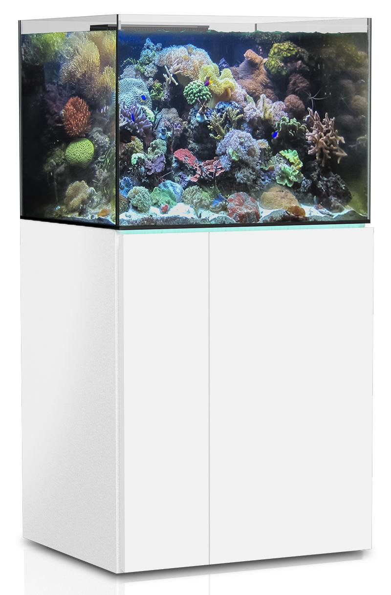 AQUA MEDIC Armatus 300 XD Meerwasser-Aquarium mit Unterschrankfiltersystem weiß