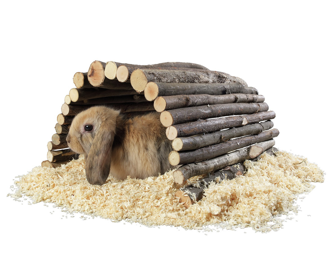 AniOne Holzbrücke für Kleintiere, geeignet für Kaninchen & Co., bietet sicheren Rückzugsort, fördert Wohlbefinden.