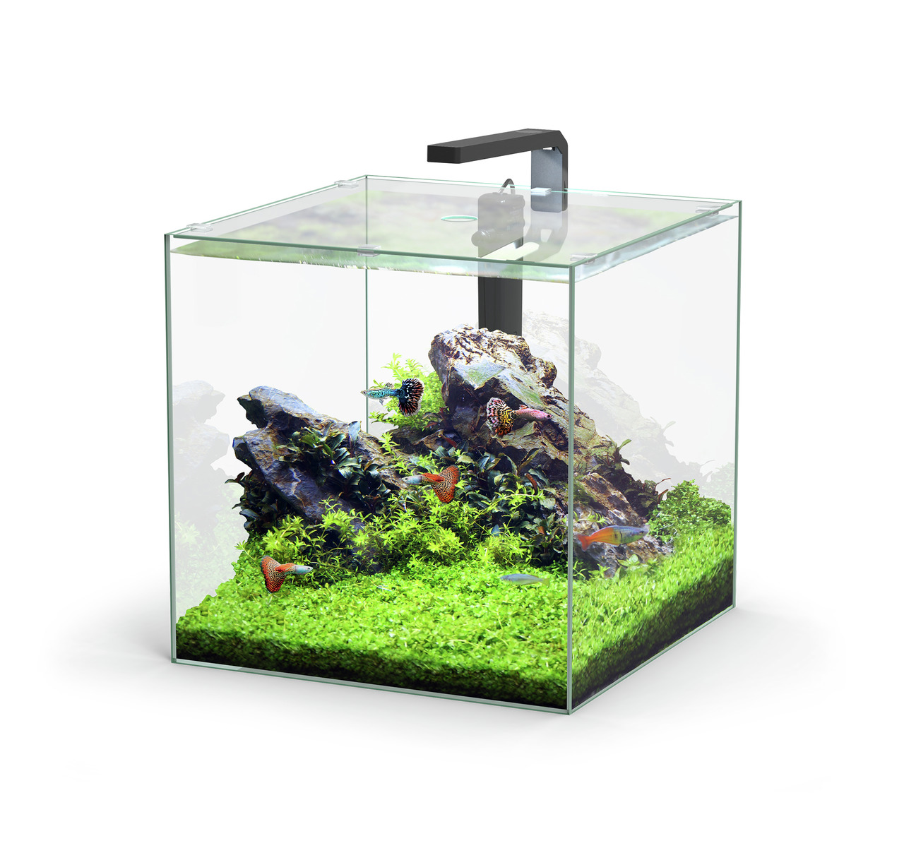 Aquatlantis Nano-Aquarium: Kompaktes Aquarium mit LED, ideal für kleine Fische-Garnelen. Natürl. Design, perfekt für Anfänger & Profis.