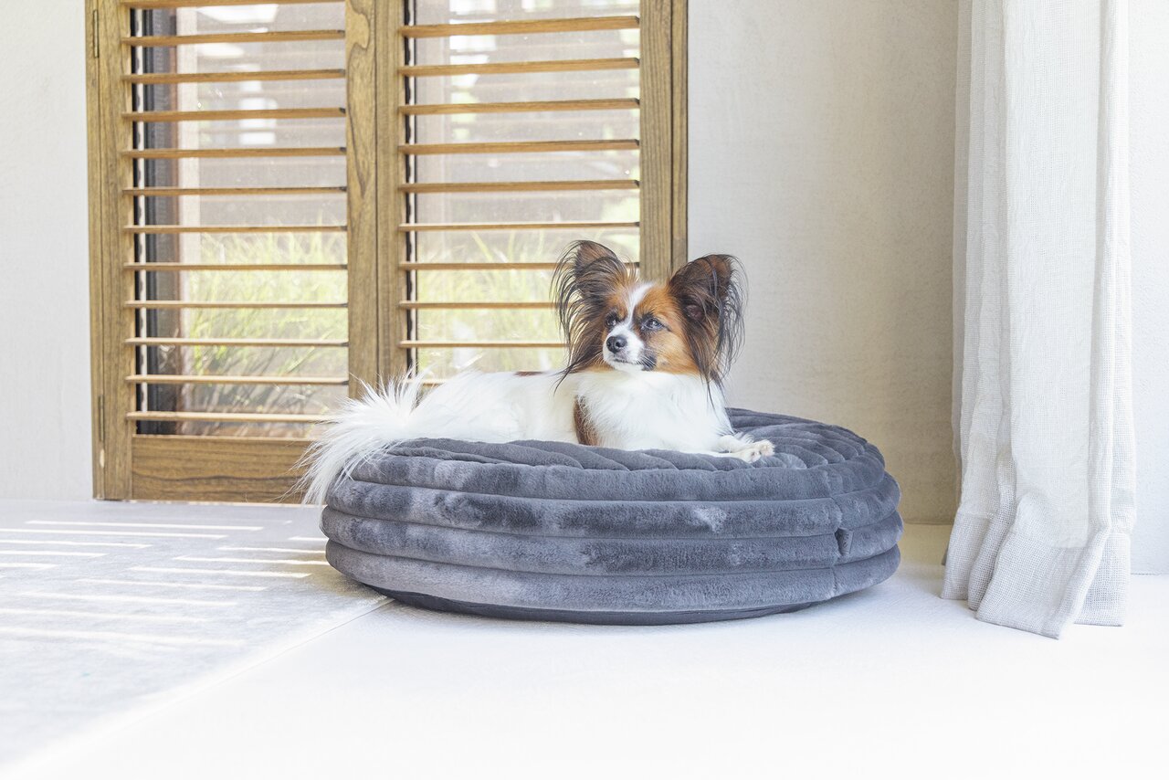 Designed by Lotte Katzenbett für Katzen, geschmackvoll, grau-weiß, stilvolles Design, weicher Stoff, gemütlich, Größe auf dem Bild nicht ersichtlich.