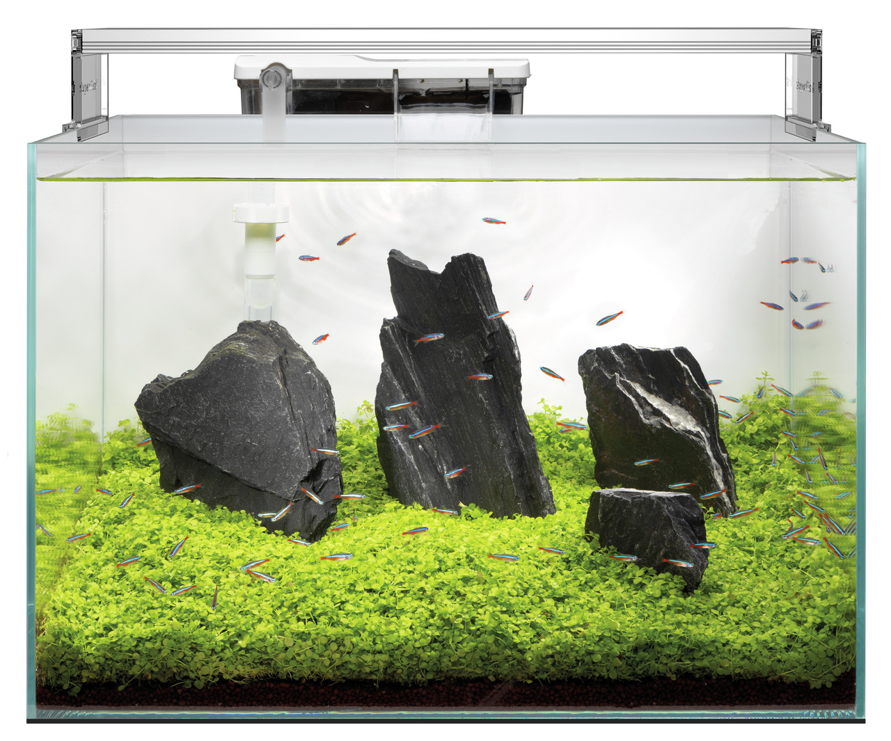 Superfish Aquarium, klarer Glaslook, integriertes Filtersystem, für Zierfische, inkl. Steine & Pflanzen, ideal für Aquaristik-Fans.