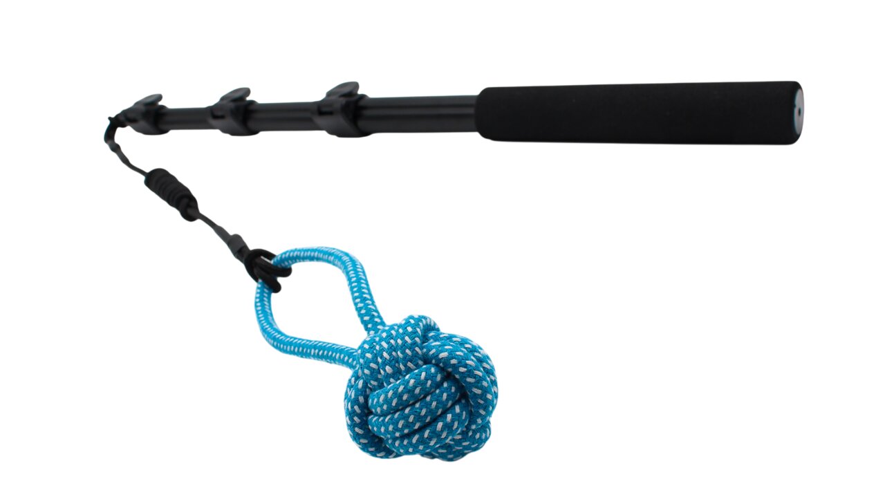 SpecterPet Spielangel für Hunde, schwarzer Griff, blauer Seilknoten, fördert Bewegung & Interaktion, ideal für Apportier-/Zerrspiele.