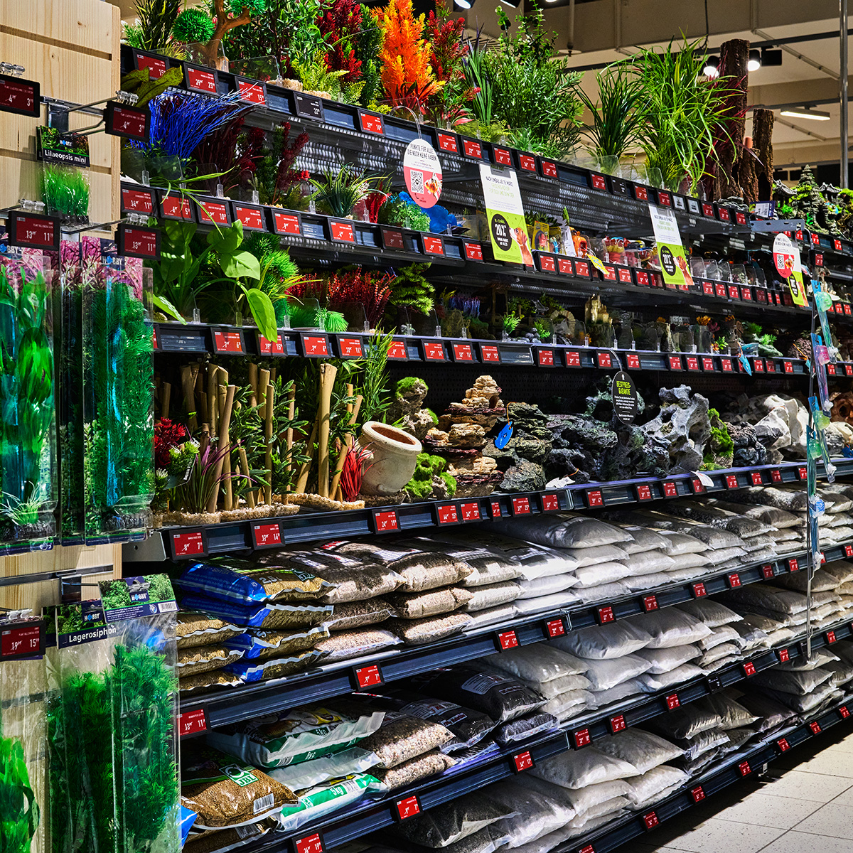 Regale Dsc6614 1200x1200px