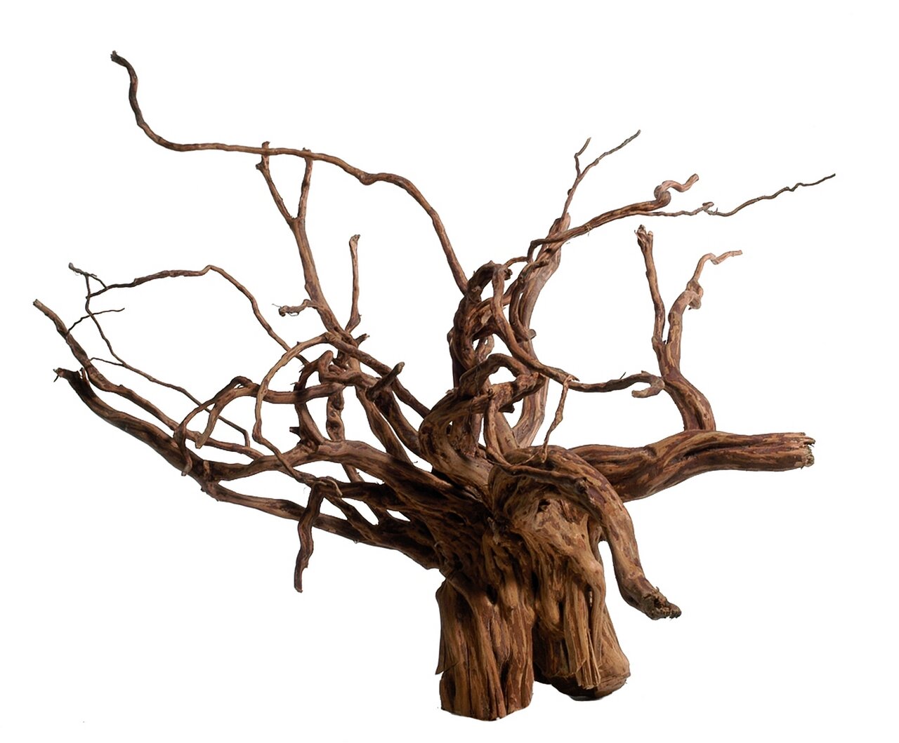 Aquadeco Naturholz, für Aquarien/Terrarien, kunstvoll verzweigtes Wurzelholz, ideal für Unterwasserlandschaften/Kletterelemente.