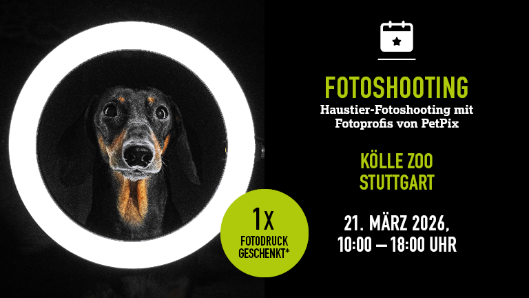 210326 Fotoshooting Stuttgart Mobile 768x432px