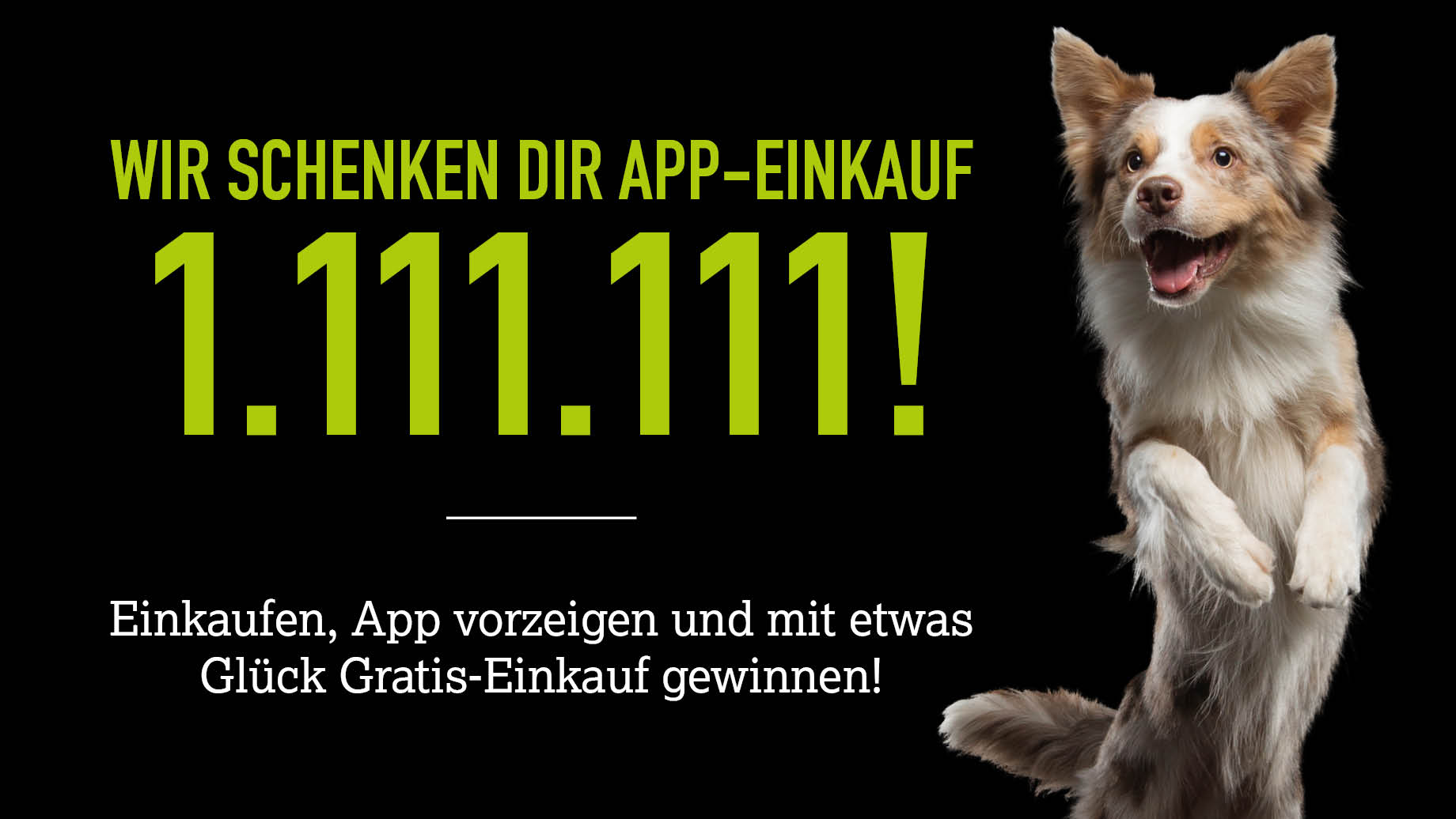 2026 App Kampagne 1 111 111 Te%20einkauf%20gratis Blog Banner1 920x518px