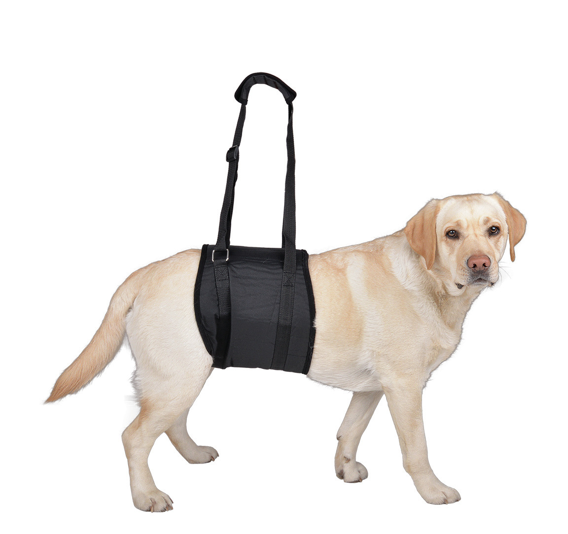 Vetlando Hebegeschirr, schwarz, für Hunde mit eingeschränkter Mobilität, verstellbare Gurte, Griff, Unterstützung beim Gehen-Treppensteigen.