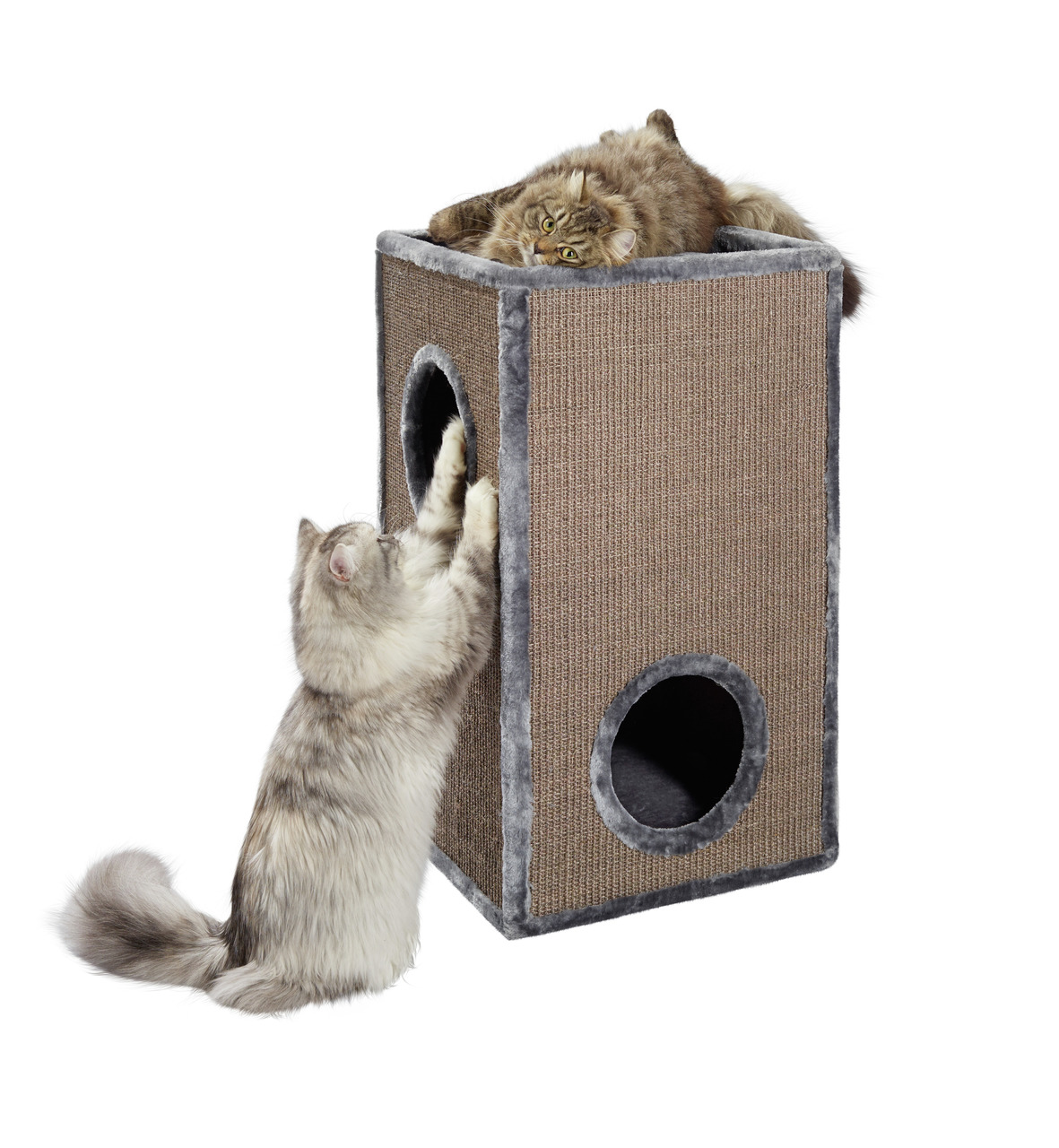 AniOne Kratzwürfel f. Katzen, alle Rassen, Sisal+Plüsch, ideal z. Kratzen-Spielen-Ausruhen, 2 Katzen interagieren.