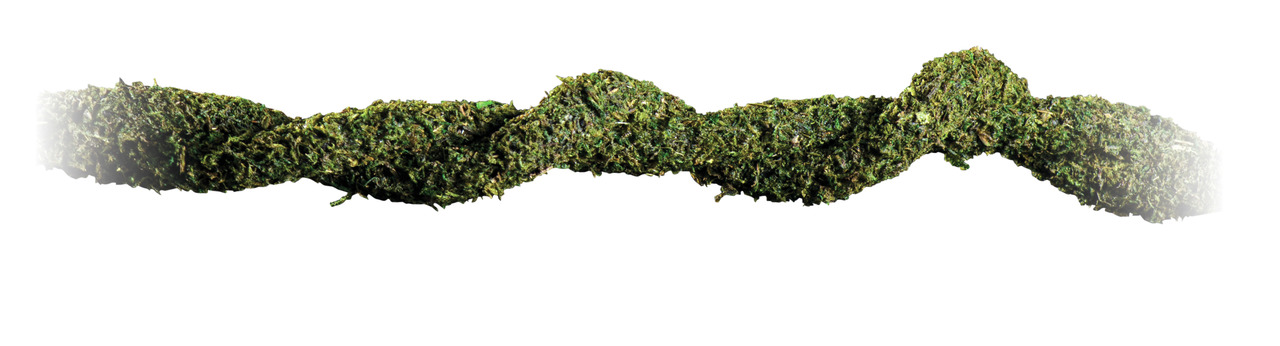 Exo Terra Moss Vine S