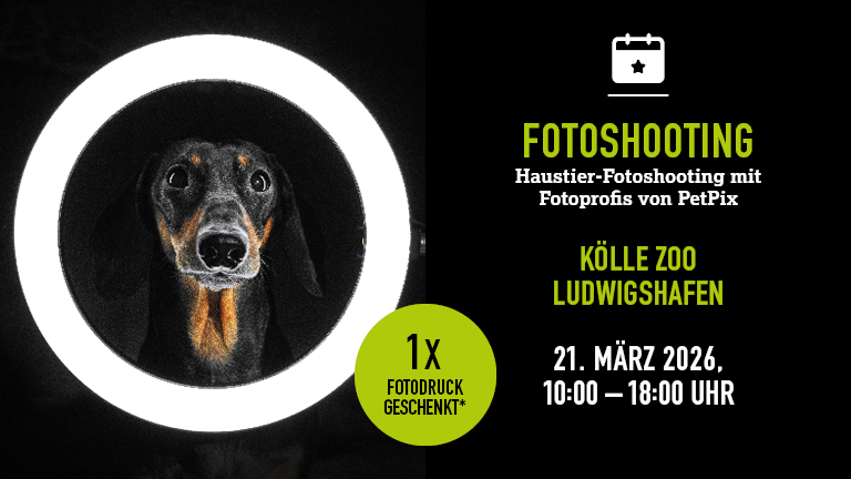 210326 Fotoshooting Ludwigshafen Mobile 768x432px