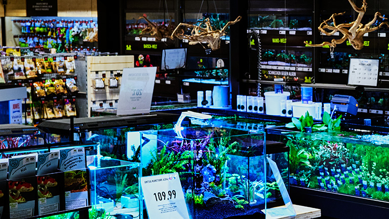 Regale Dsc6950 1 768x432px