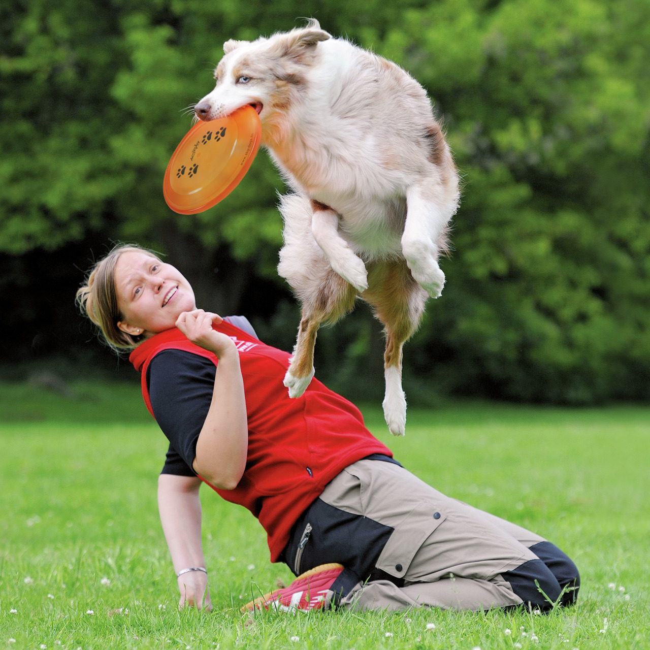 TRIXIE Dog ActivityDisc bissfest Ø 19cm