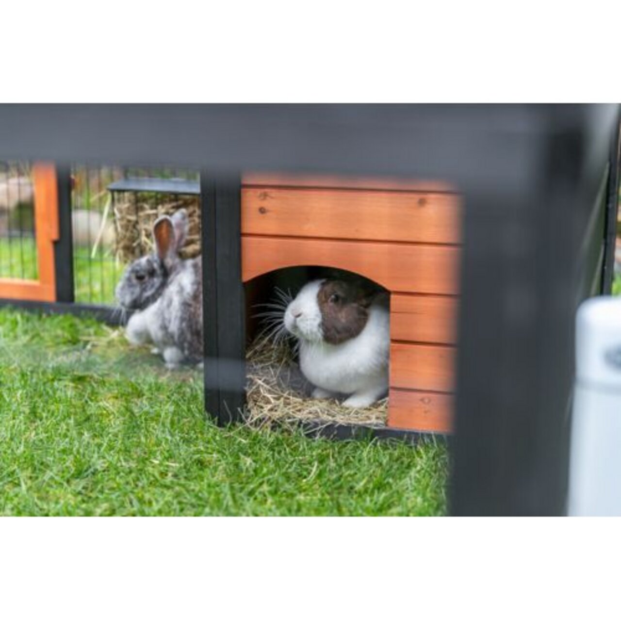 TRIXIE Natura Kleintierhaus, für Kaninchen, wetterfestes Holz, Schutz vor Zugluft, mit Stroheinstreu, ideal für draußen.