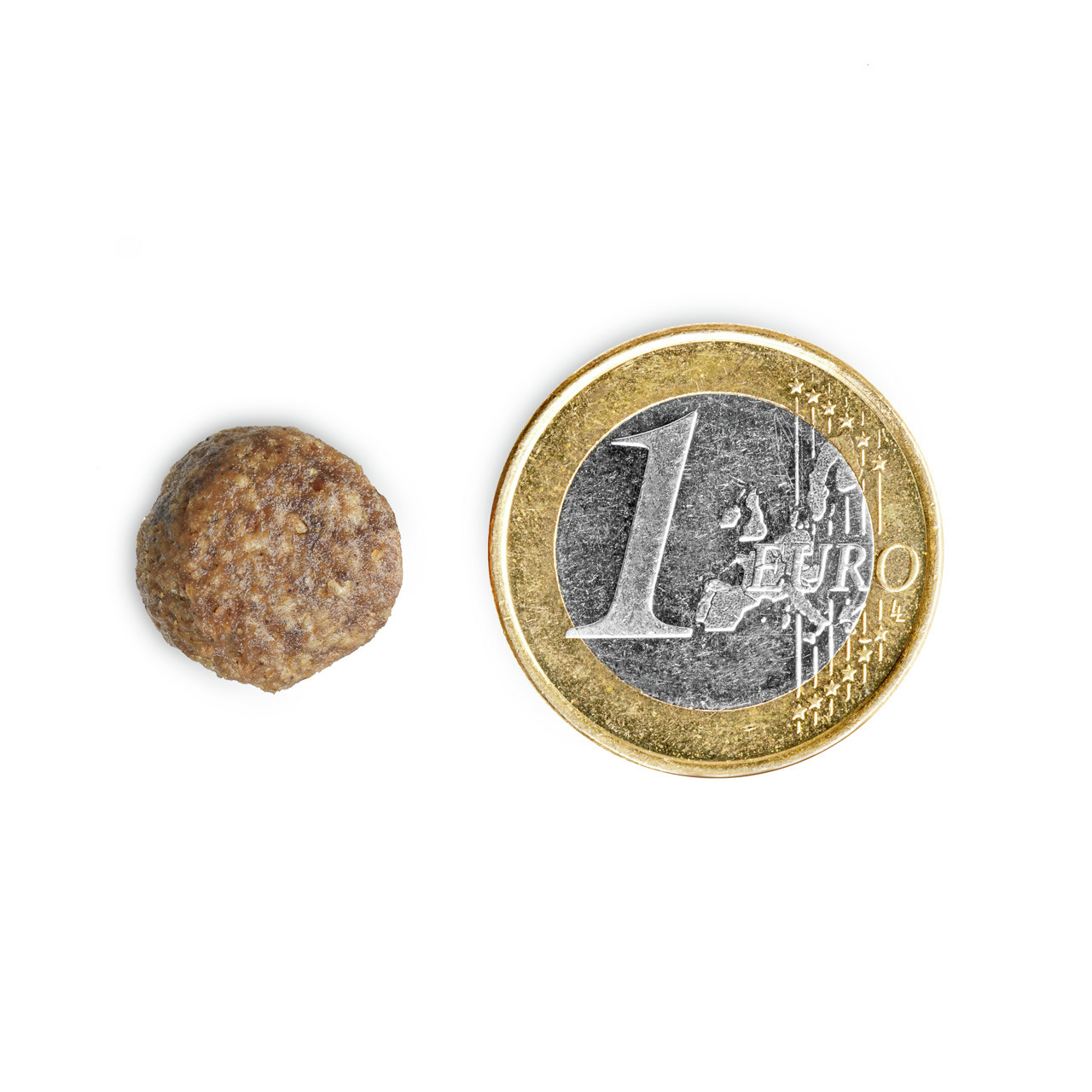 Das Bild zeigt ein einzelnes Trockenfutterstück der Marke TIKAANI neben einer 1-Euro-Münze zum Größenvergleich. Das Produkt ist für Hunde geeignet und bietet eine ausgewogene Ernährung. Die Geschmacksrichtung ist nicht angegeben. Die kompakte Größe erleic