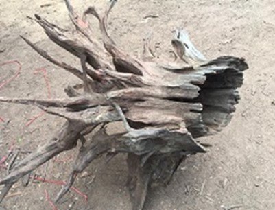 Aquadeco Corbo-Stump XL