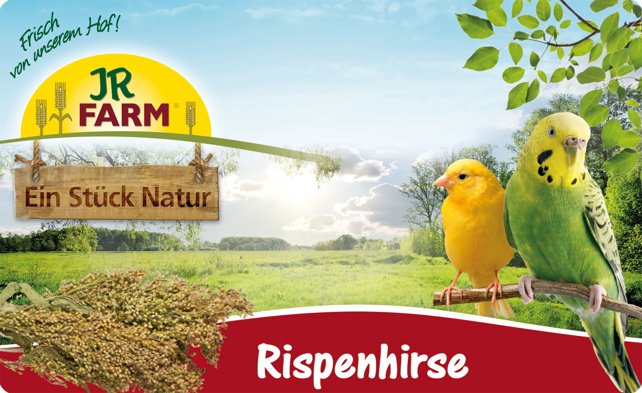 JR FARM Rispenhirse für Ziervögel (Wellensittiche, Kanarienvögel), natürliche Herkunft, „Ein Stück Natur“, 500 g.