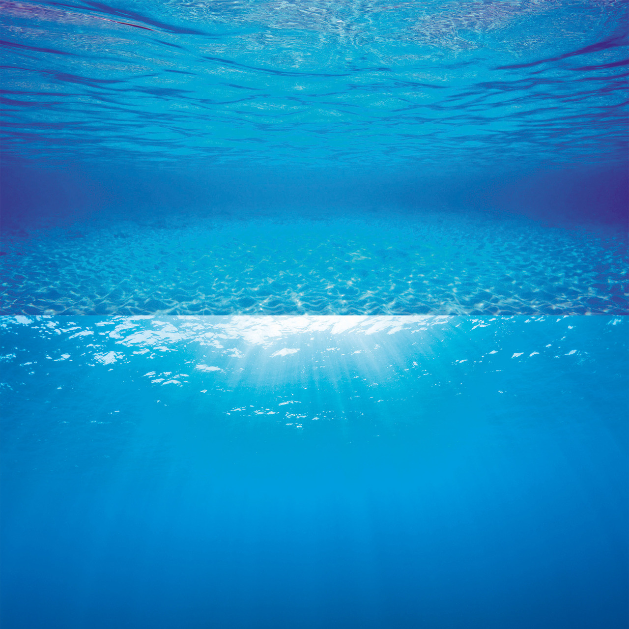 JUWEL Poster XL Wasserblau 150x60 Zentimeter Aquariendekoration