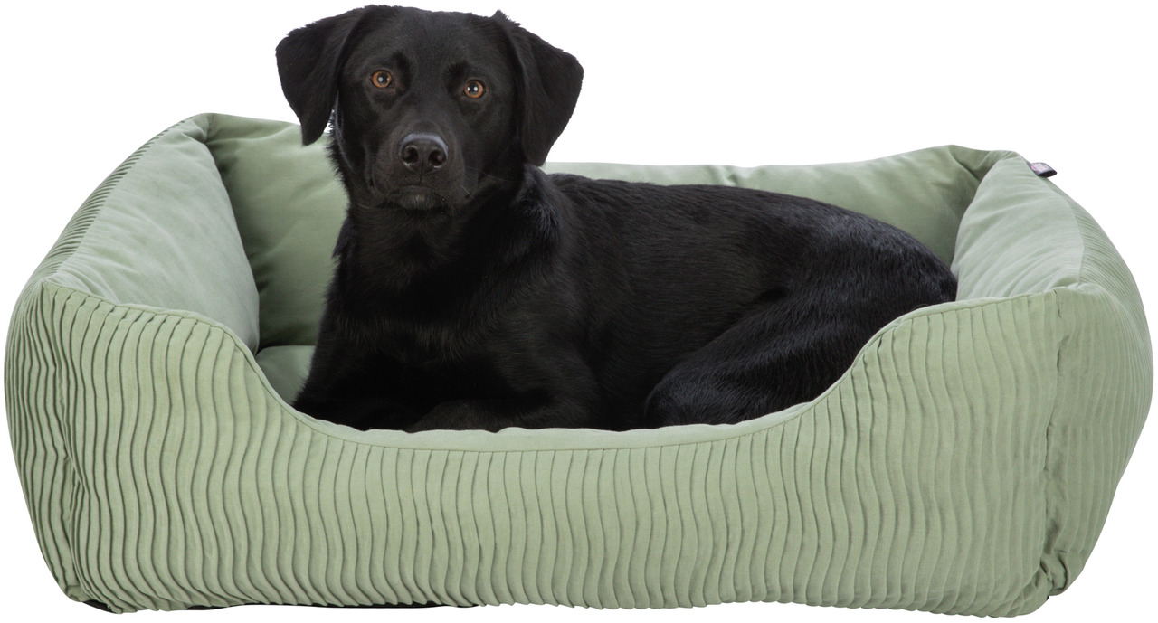 TRIXIE Hundebett, grün, für Hunde, weiche gerippte Oberfläche, hoher Komfort, ideal für anspruchsvolle Hundehalter.